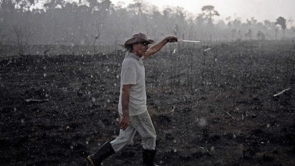 Seljak iz Brazila šeta po spaljenoj oblasti unutar Amazona u državi Rondonija