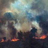 Požari u Amazoniji: Brazil odbija pomoć od 22 miliona dolara od Grupe 7 6