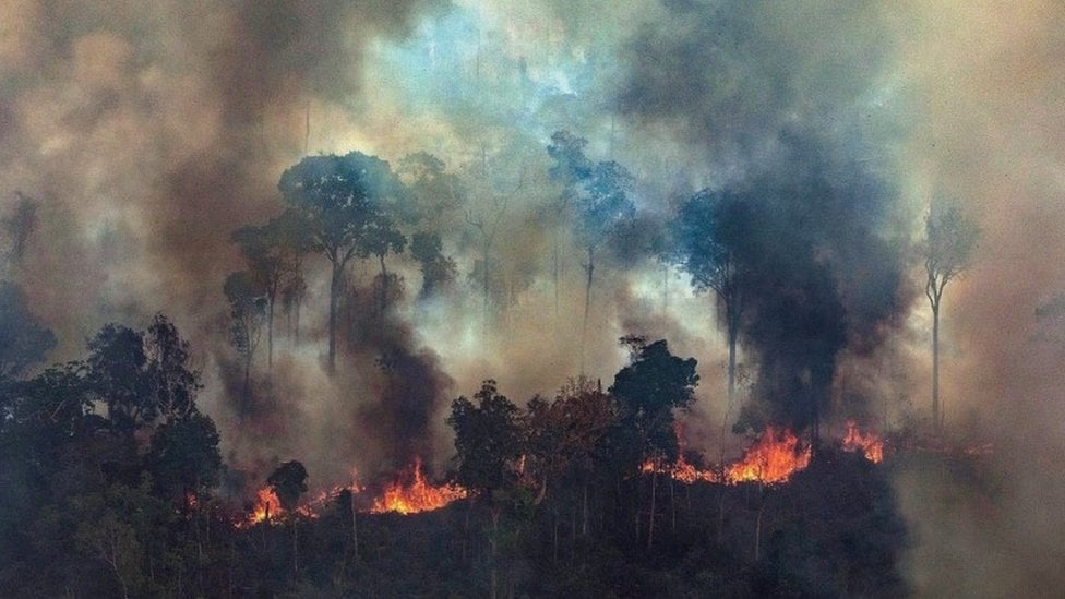 Grinpis Brazil - slika zapaljene šume, avgust 2019.