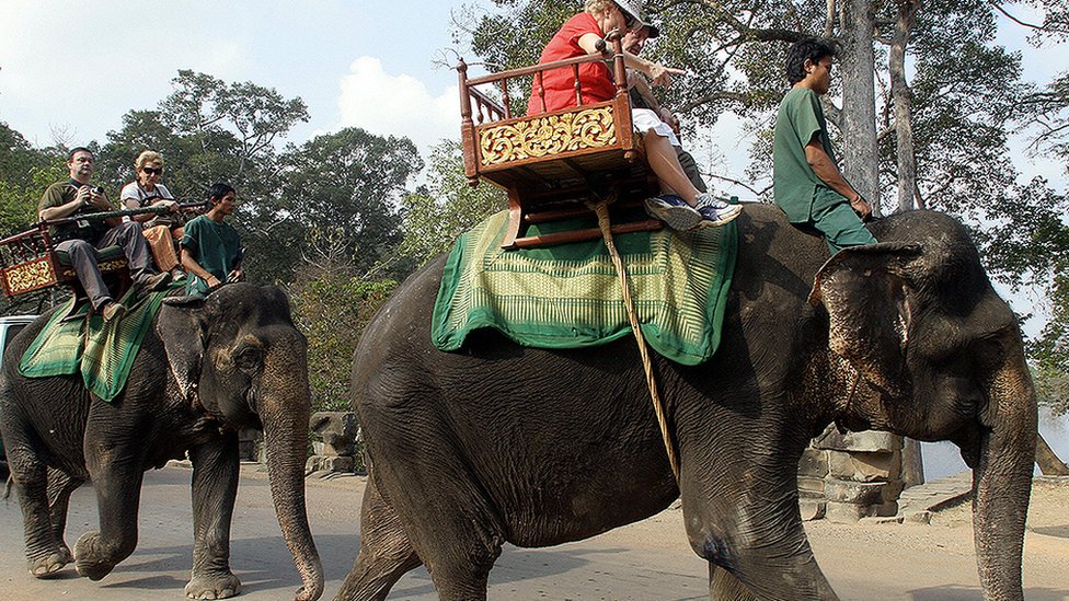 Jahanje slonova u Kambodži