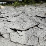 Klimatska kriza dovodi u pitanje čovečanstvo 7