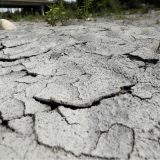Klimatska kriza dovodi u pitanje čovečanstvo 12