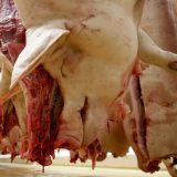 Srpskim firmama i dalje zabranjen izvoz mesa u Rusiju 5
