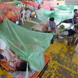 Filipini proglasili epidemiju denga groznice 6