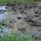 Ulica u Rakovici poplavljena već četvrti dan 6