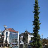 Građani Inđije ne daju omoriku 9