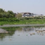 ZLF: Rešiti problem zagađenja beogradske Ada Huje 2