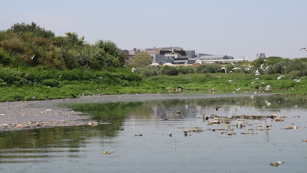 Beograd uskoro dobija prvo biološko postrojenje za preradu otpadnih voda 1