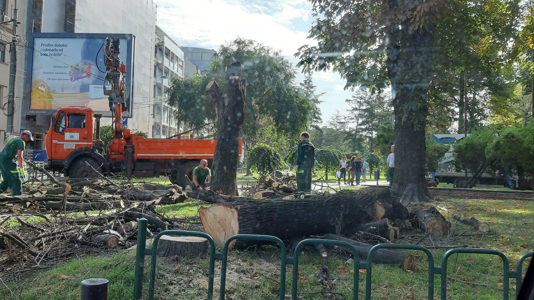 Zelenilo Beograd: Stabla u Čuburskom parku rizik za građane 1