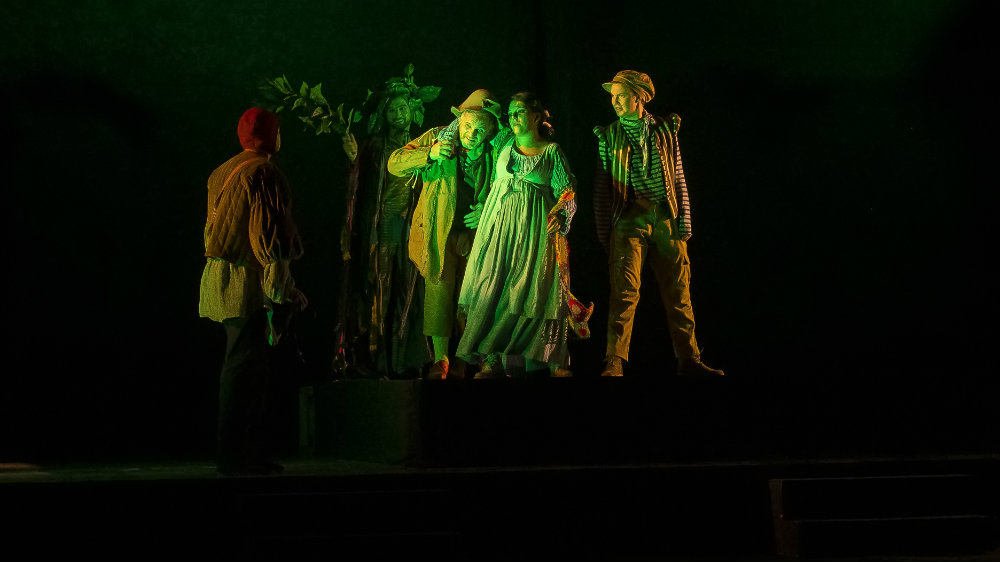 Premijera predstave "Kako vam drago" ipak u sali od 20.30h 1