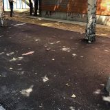 Nova stranka: Zabetoniran drvored u Knjaževcu dokaz da je priroda najveći neprijatelj naprednjačke vlasti 8