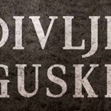 Detinjstvo i posledice 13