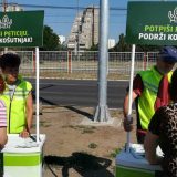 Zelena stranka skuplja potpise za sprečavanje seče drveća na Košutnjaku 11