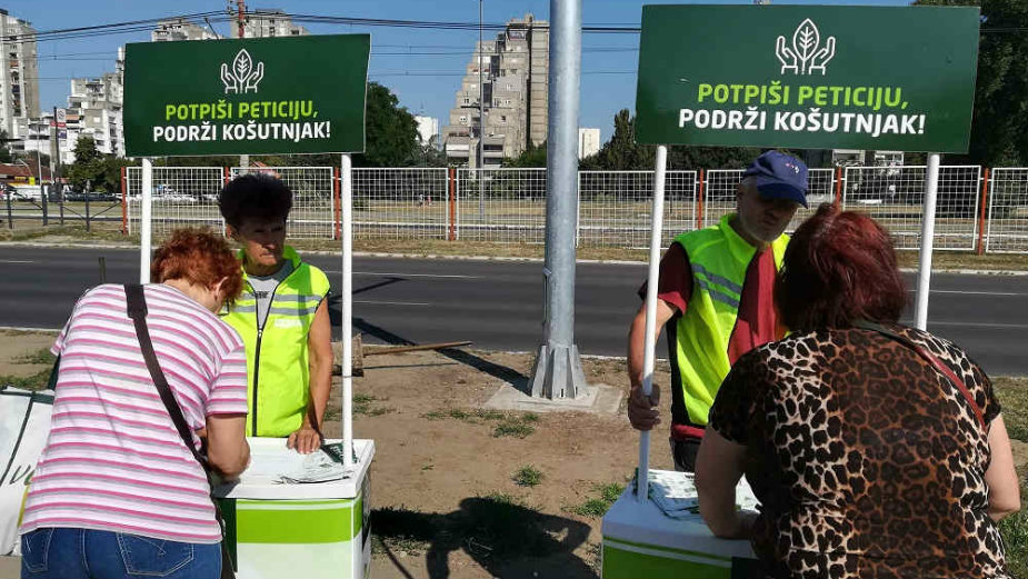 Zelena stranka skuplja potpise za sprečavanje seče drveća na Košutnjaku 1
