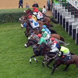 Ljubičevske igre su najbolji brend grada 7