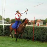 Dvadeset dana programa Ljubičevskih konjičkih igara 2