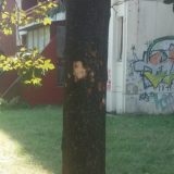 JKP „Zelenilo-Beograd“ apeluje na sugrađane da ne uništavaju javne zelene površine 3