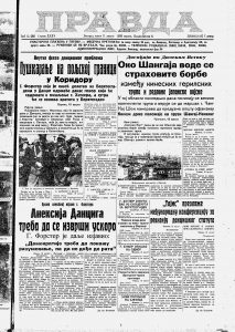 Šljiva rekorderka: 195 litara rakije sa jednog stabla 3