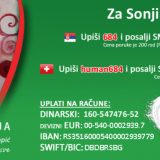 Veliki humanitarni koncert na splavu Šlep za lečenje Sonje Bogdanović 3