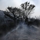 Požar i dalje pustoši grčko ostrvo Eviju 11