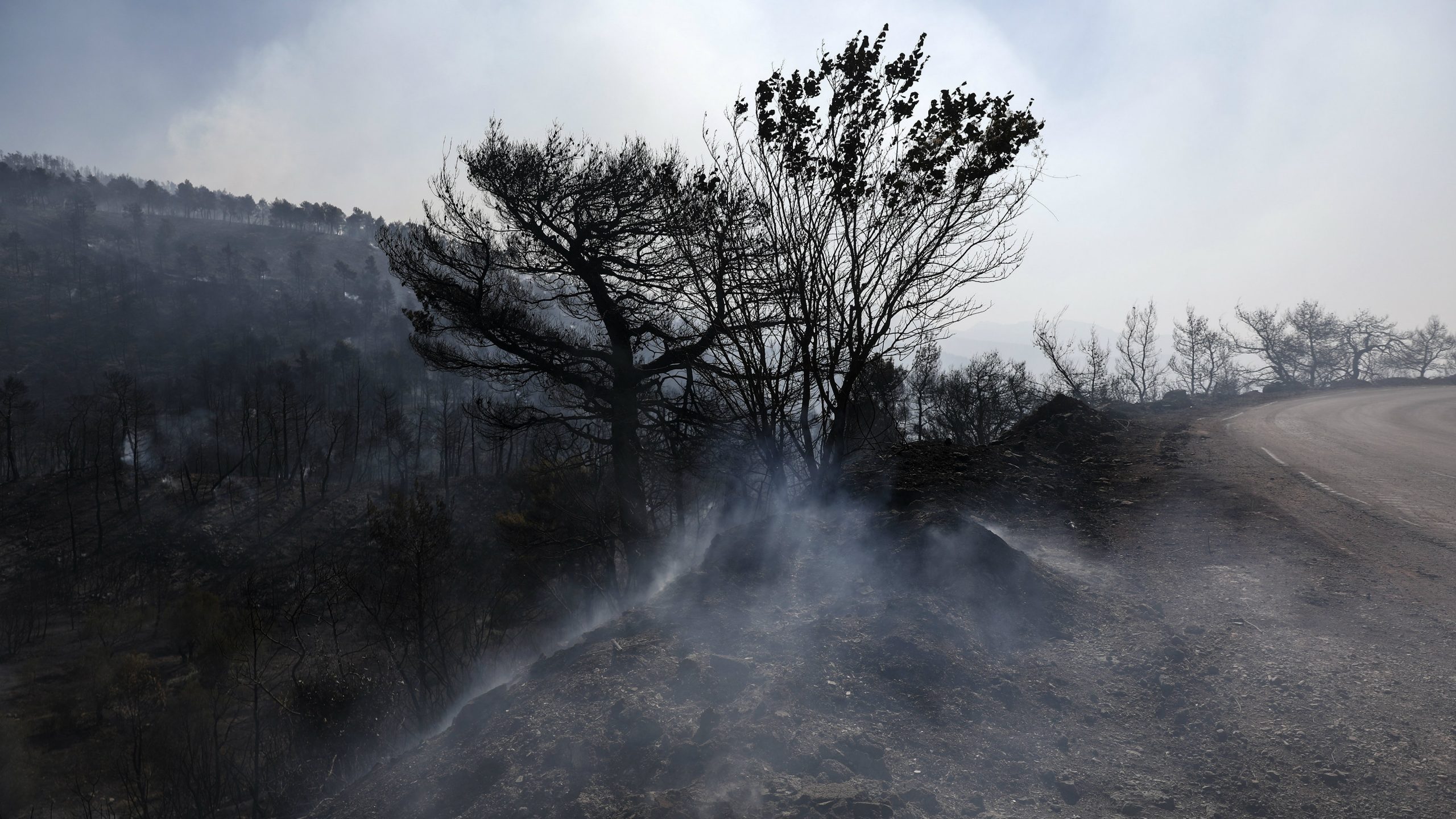 Požar i dalje pustoši grčko ostrvo Eviju 1