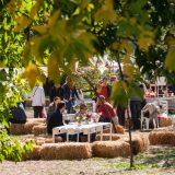 “Ukusi Vojvodine” po treći put u Novom Sadu 5