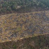 Zemlje G-7 najavile 20 miliona dolara pomoći Amazoniji u plamenu 15