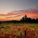 Sele glavni grad Indonezije iz Džakarte na Borneo 4