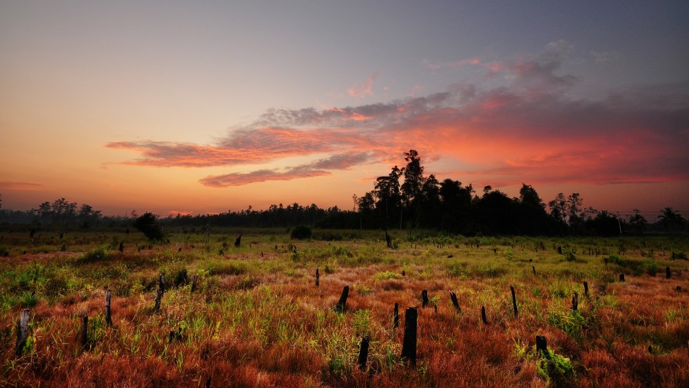 Sele glavni grad Indonezije iz Džakarte na Borneo 1