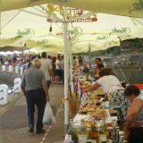 Za pripremu banice prijavio se 321 učesnik iz Srbije, Slovenije i Bugarske 6