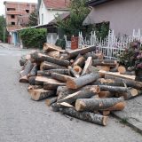 Vranje: Potera za drvima na plus 34 14