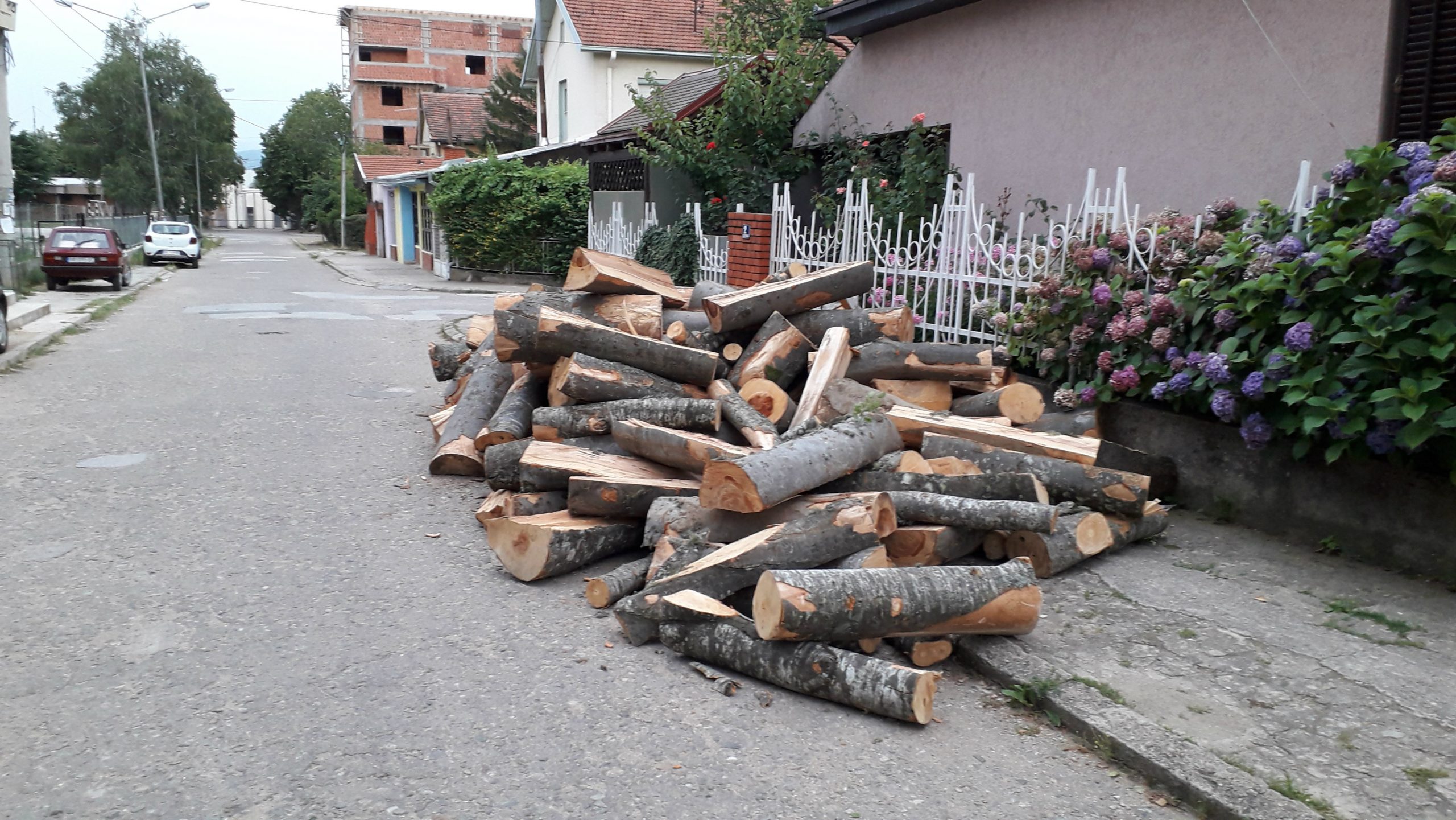 Vranje: Potera za drvima na plus 34 1