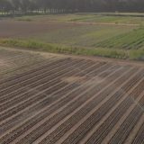 Kako izgleda farma budućnosti u Holandiji (VIDEO) 5