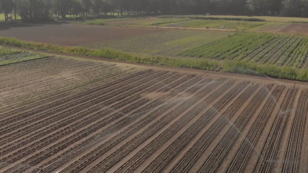 Kako izgleda farma budućnosti u Holandiji (VIDEO) 1