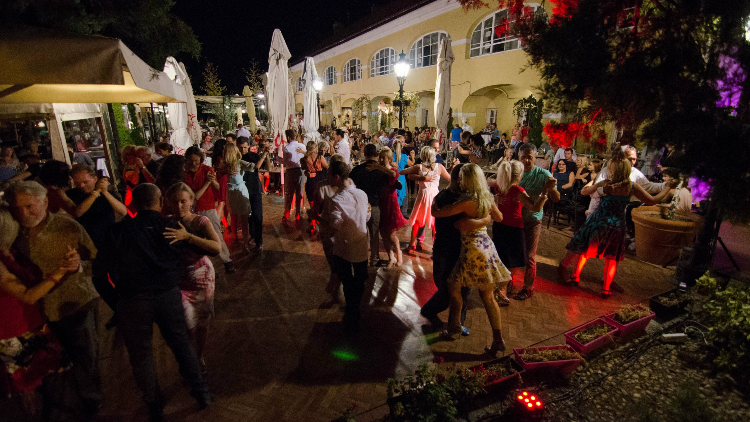 Festival tanga u Novom Sadu od 15. do 18. avgusta 1