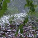 Olujni vetar na crnogorskom primorju napravio štetu 19