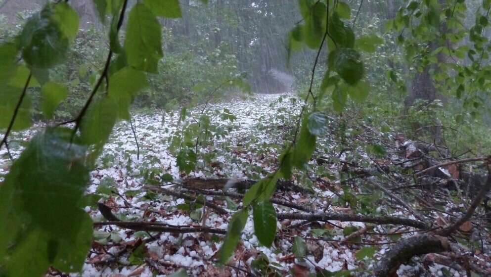 Jako nevreme pogodilo užički kraj 1