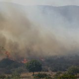 Vatrogasci na Suvoj planini sprečili širenje požara na kompleks bukove šume 10