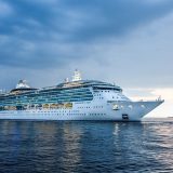 Državljanin Srbije na brodu Diamond Princess čeka test na korona virus 8