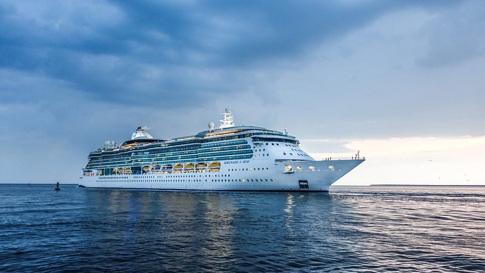 Državljanin Srbije na brodu Diamond Princess čeka test na korona virus 1