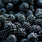 Radović: Kupina u bescenje, ako država ne reaguje blokiraćemo Srbiju 5