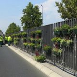 Cveće na razdelnoj ogradi beogradskog bulevara protiv buke i zagađenja 10