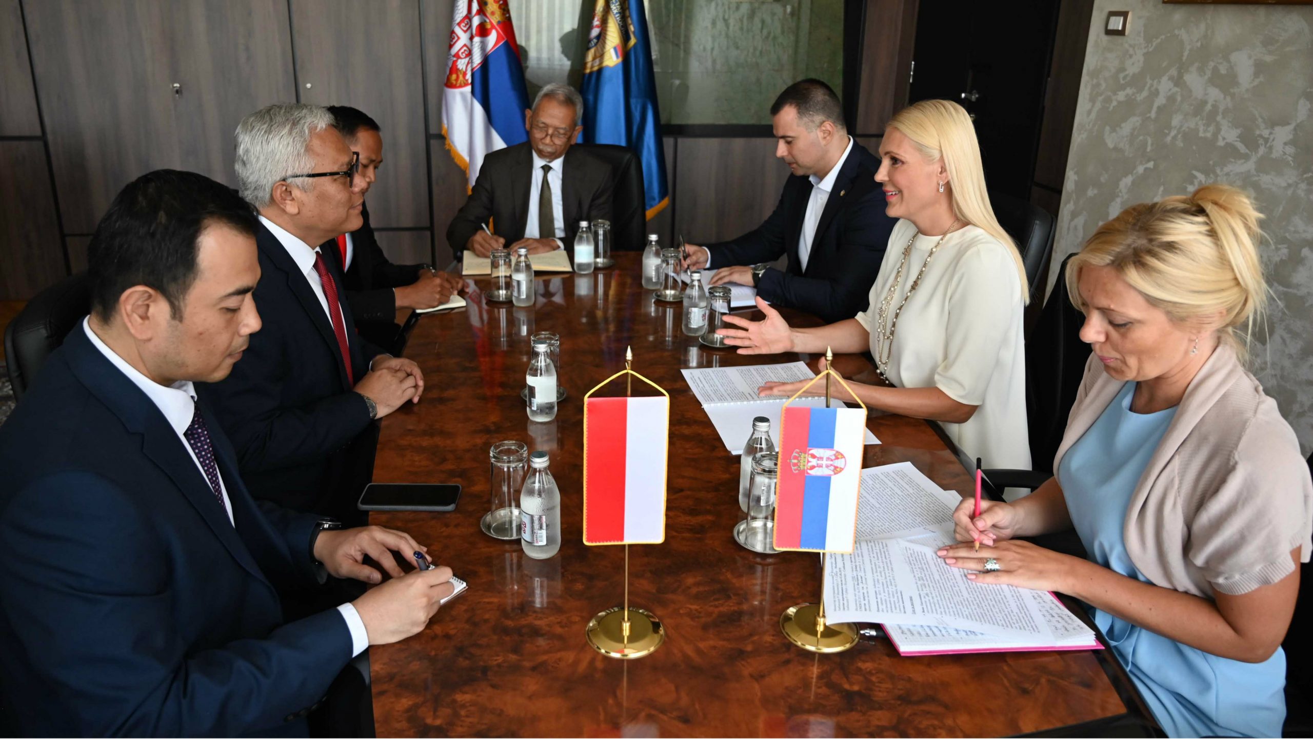 Popović Ivković: Srbija će učiniti sve kako bi sprečila prijem Kosova u Interpol 1