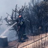 Hiljadu vatrogasaca protiv 50 šumskih požara u Grčkoj, najveći na ostrvu Eviji 14