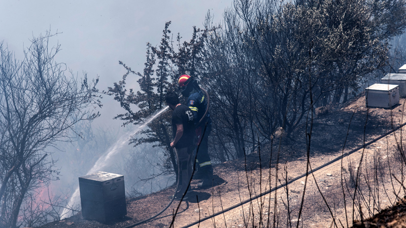 Matić: Turisti iz Srbije su bezbedni na Rodosu, požar delimično ugašen 1