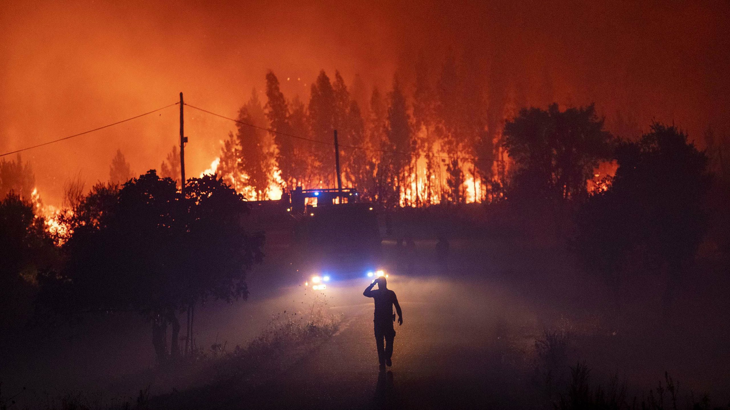 Požar u Portugalu gasi 500 vatrogasaca 1