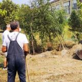 Zelena stranka: Moramo se boriti za svako drvo 7