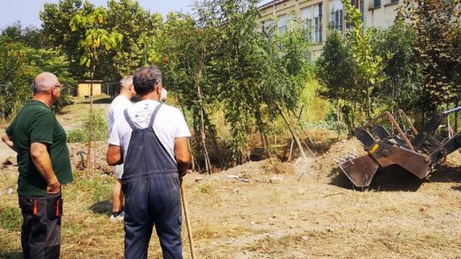 Zelena stranka: Moramo se boriti za svako drvo 1