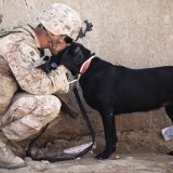 Uzroci posttraumatskog stresnog poremećaja i način lečenja 7