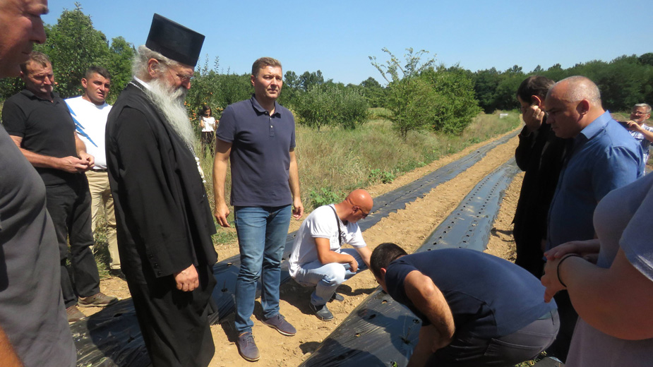 Šabac pomogao sedam srspkih porodica na Kosovu da zasade jagode 1